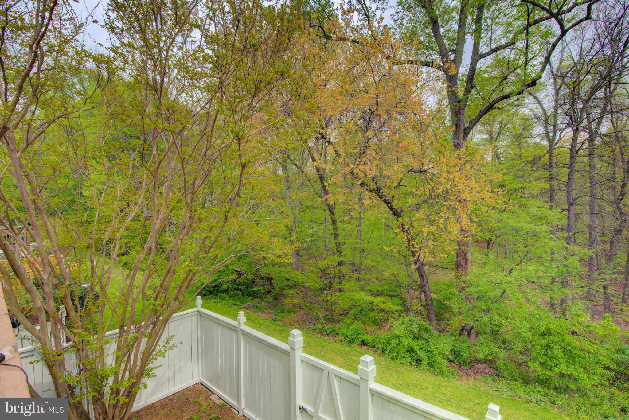1552 Poplar Grove Drive Reston, VA 20194 - Photo 46 of 56