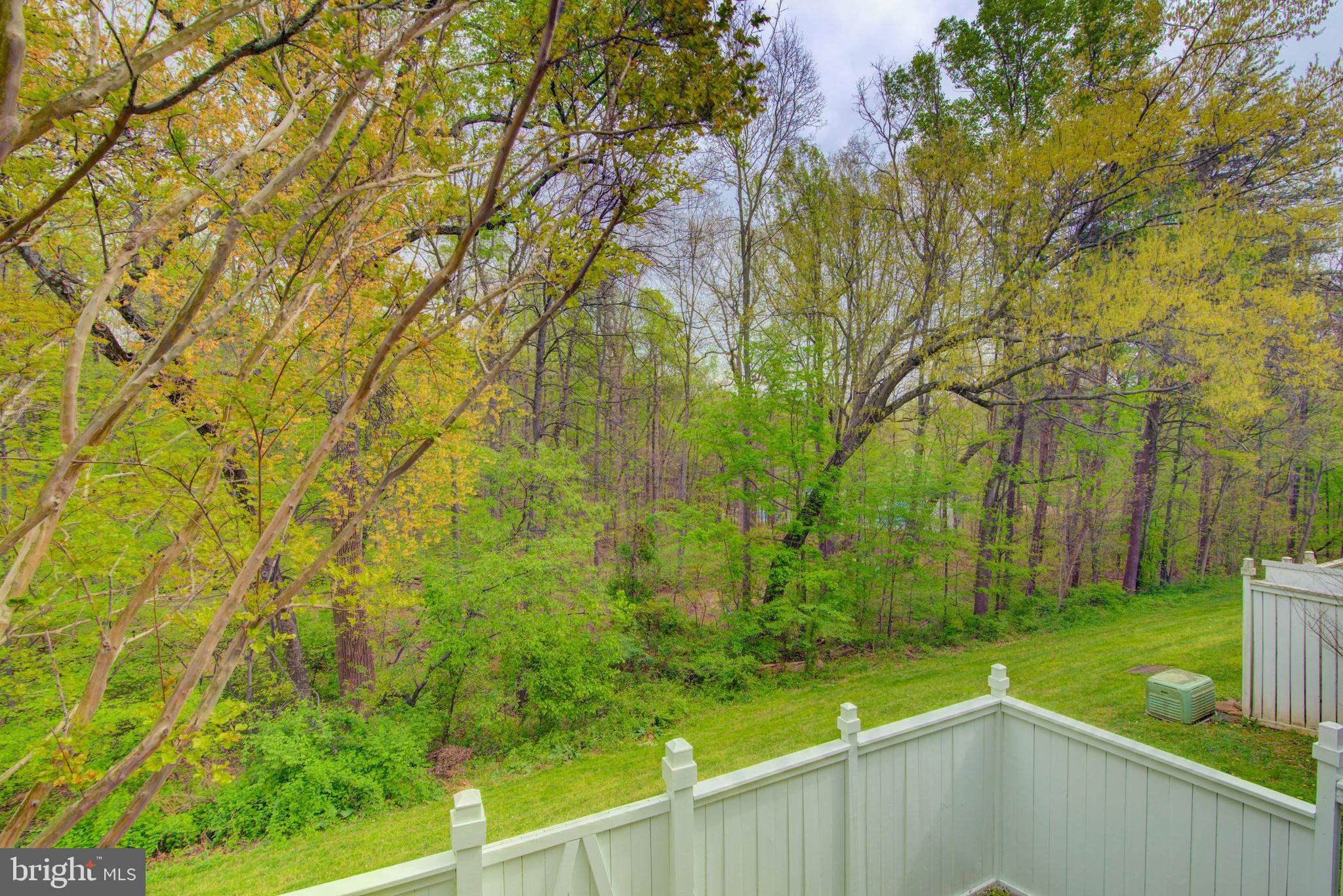 1552 Poplar Grove Drive Reston, VA 20194 - Photo 47 of 56