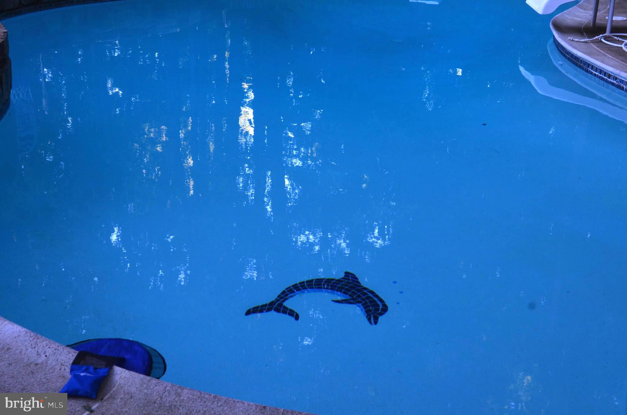 11815 Chapel Road Clifton, VA 20124 - Photo 54 of 59 Pool bottom dolphin!