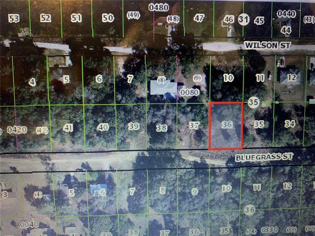 2406 Bluegrass Street Inverness, FL 34453 - Photo 2 of 4