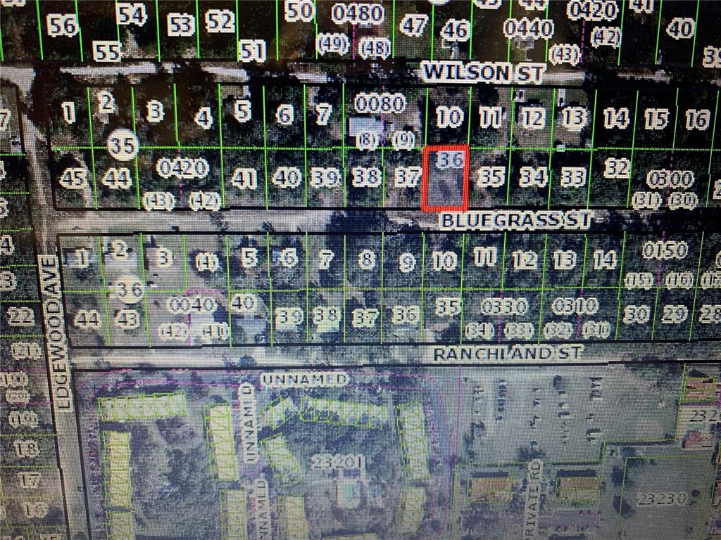 2406 Bluegrass Street Inverness, FL 34453 - Photo 3 of 4