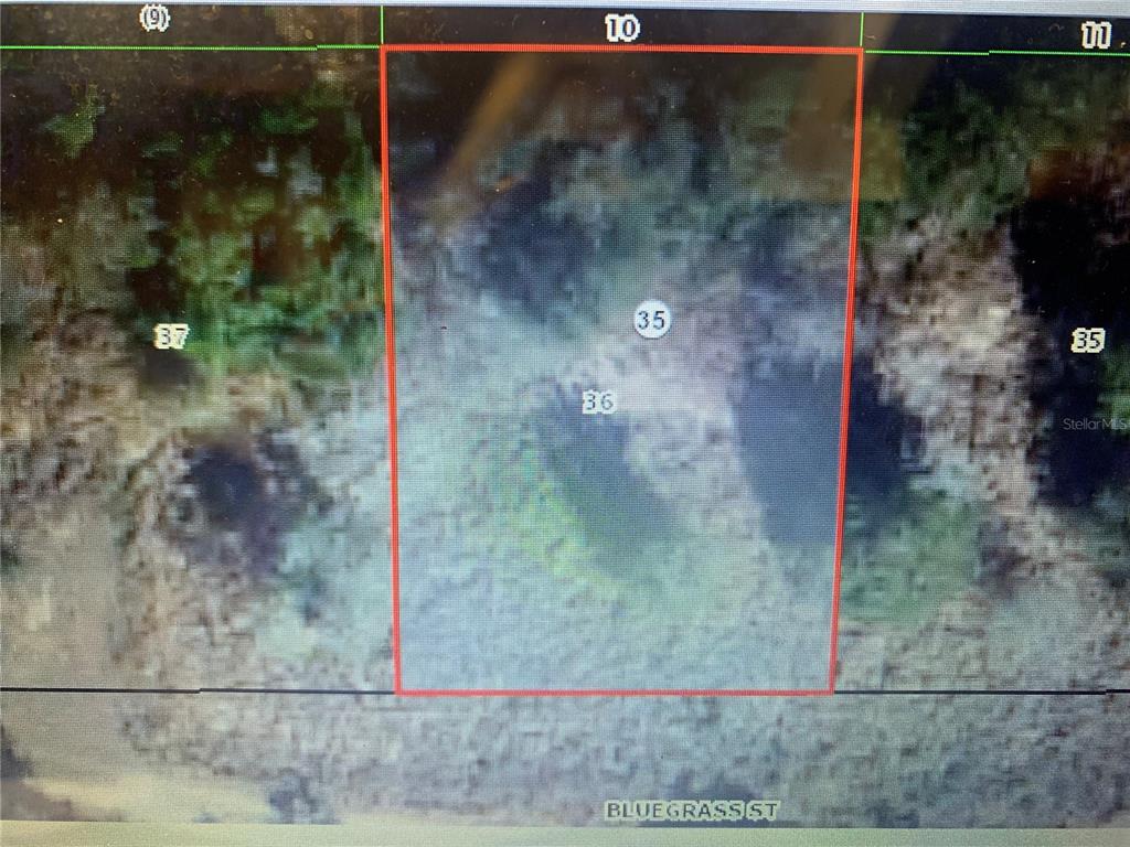 2406 Bluegrass Street Inverness, FL 34453 - Photo 4 of 4