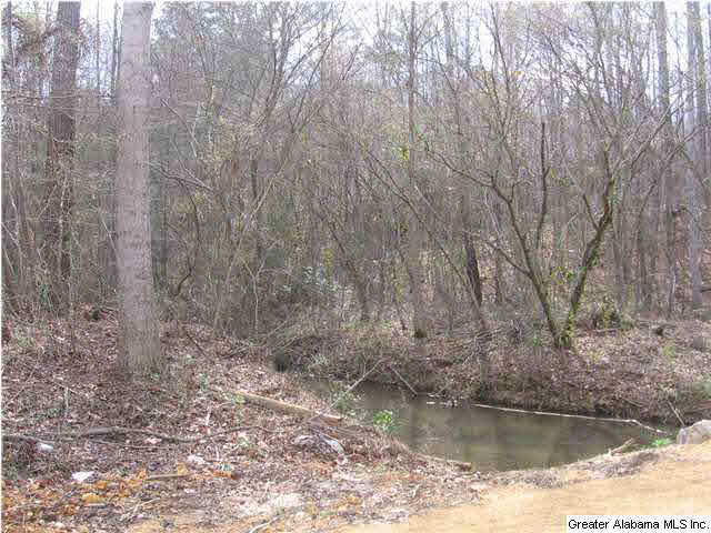 720 Sportsman Lake Road, Unit 4 2 AC Springville, AL 35146 - Photo 11 of 14