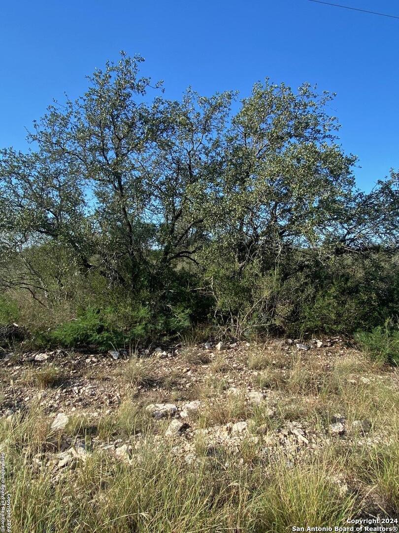 24 Friendship Hills Uvalde, TX 78801 - Photo 2 of 6