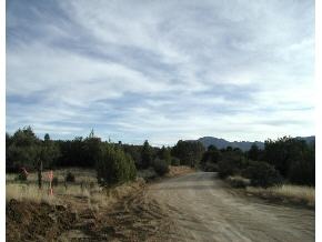 0 East Verde Ranch Paulden, AZ 86334 - Photo 1 of 1 Primary Photo