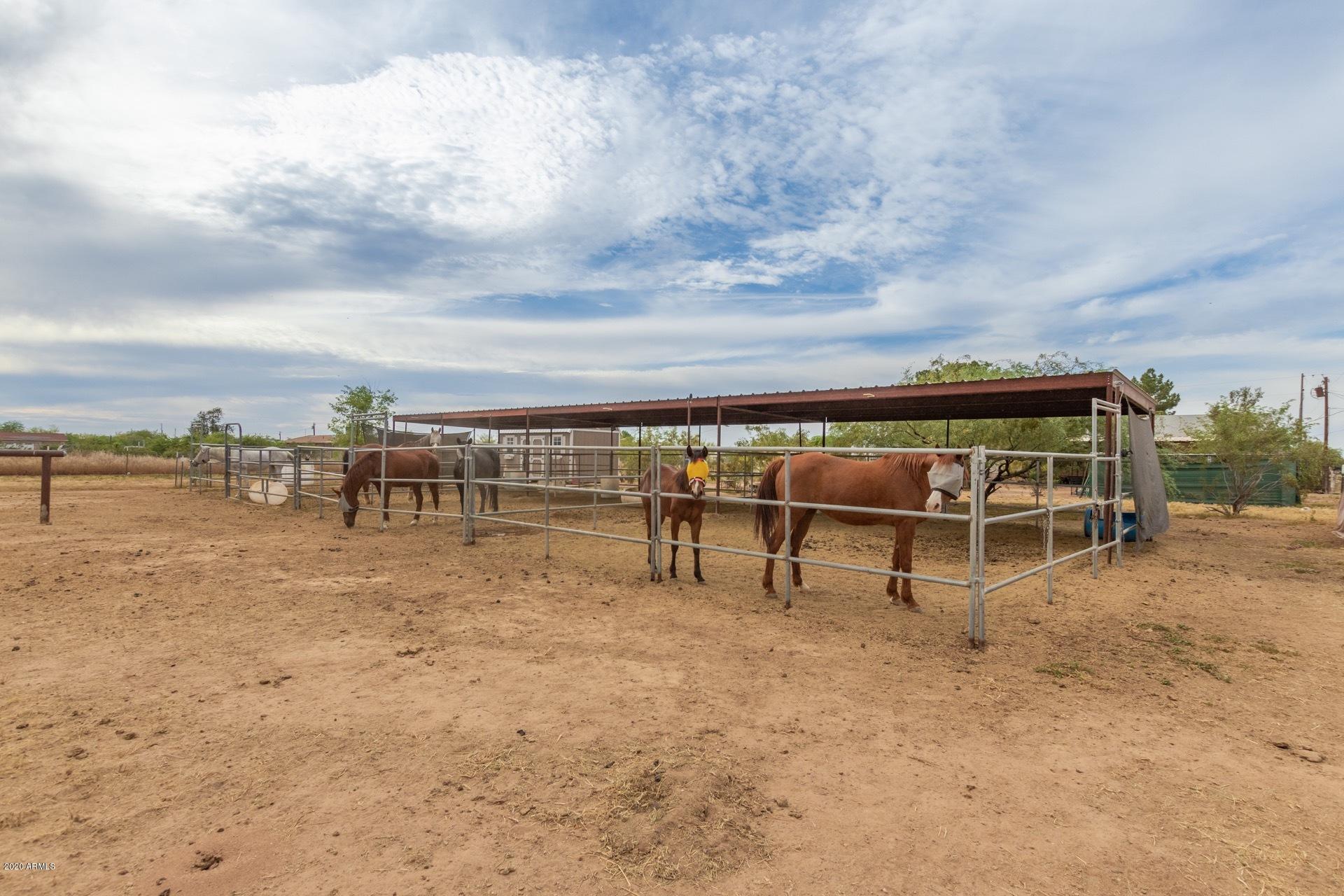 20527 West Teepee Road Buckeye, AZ 85326 - Photo 33 of 41 c9aa1ad4270d328401f8d7c4bd6e9926