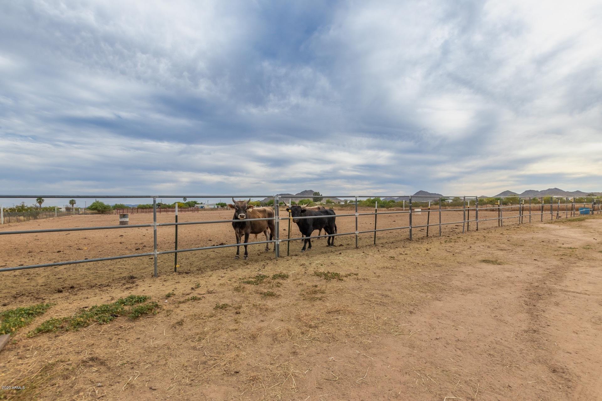 20527 West Teepee Road Buckeye, AZ 85326 - Photo 34 of 41 00785403ddb2dc5d8e62d43177d16b38