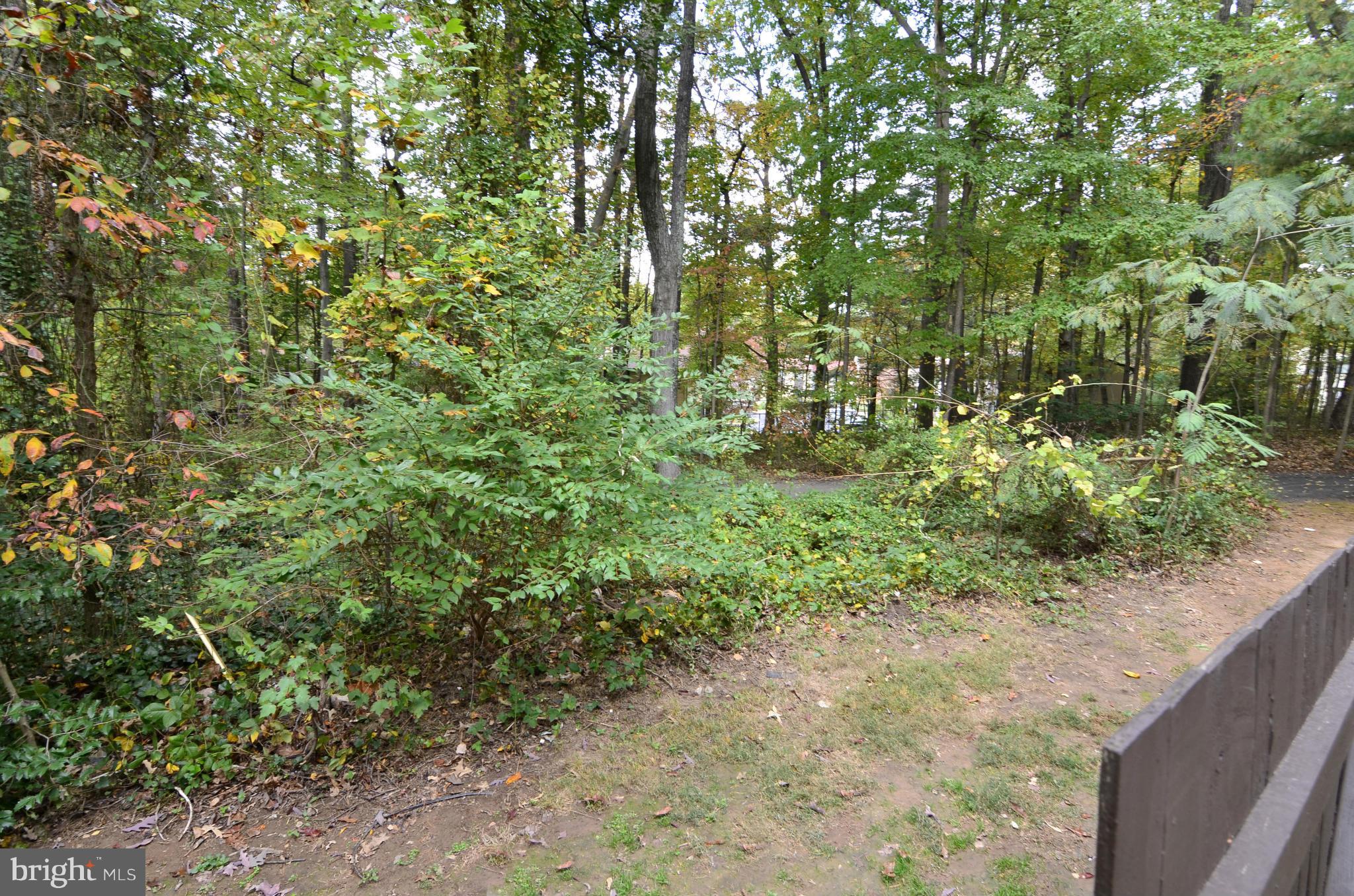 2473 Pyrenees Court Reston, VA 20191 - Photo 12 of 14 View