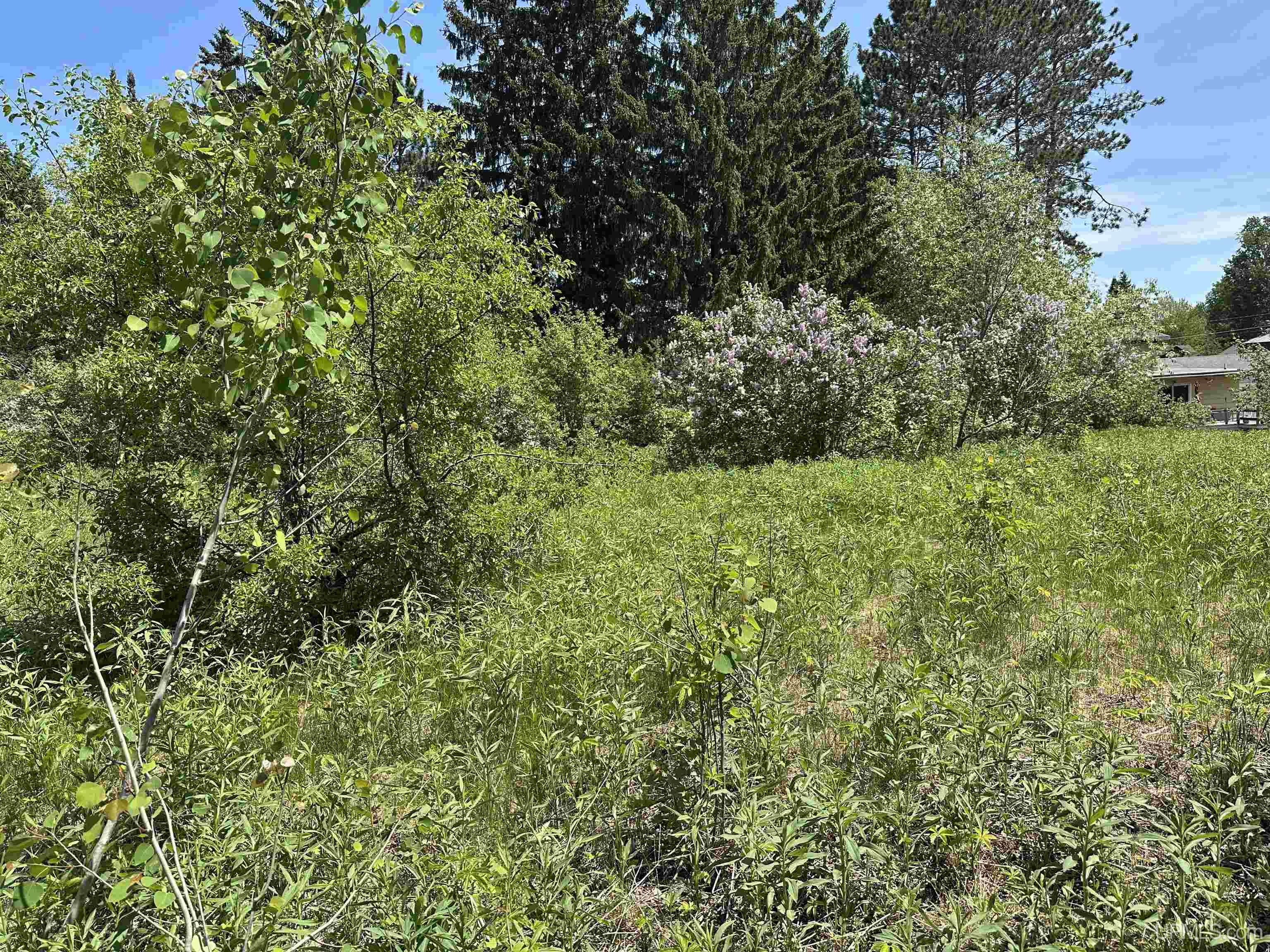 421-419 Cary Road Hurley, WI 54534 - Photo 49 of 51