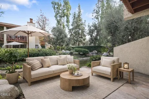 a view of a patio with couches and a potted plant on a table