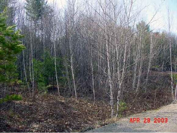 4-5 Partridge Run Conway, NH 03813 - Photo 1 of 4