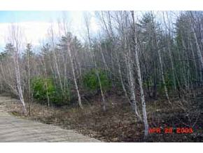 4-5 Partridge Run Conway, NH 03813 - Photo 2 of 4