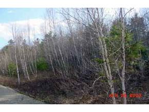 4-5 Partridge Run Conway, NH 03813 - Photo 3 of 4