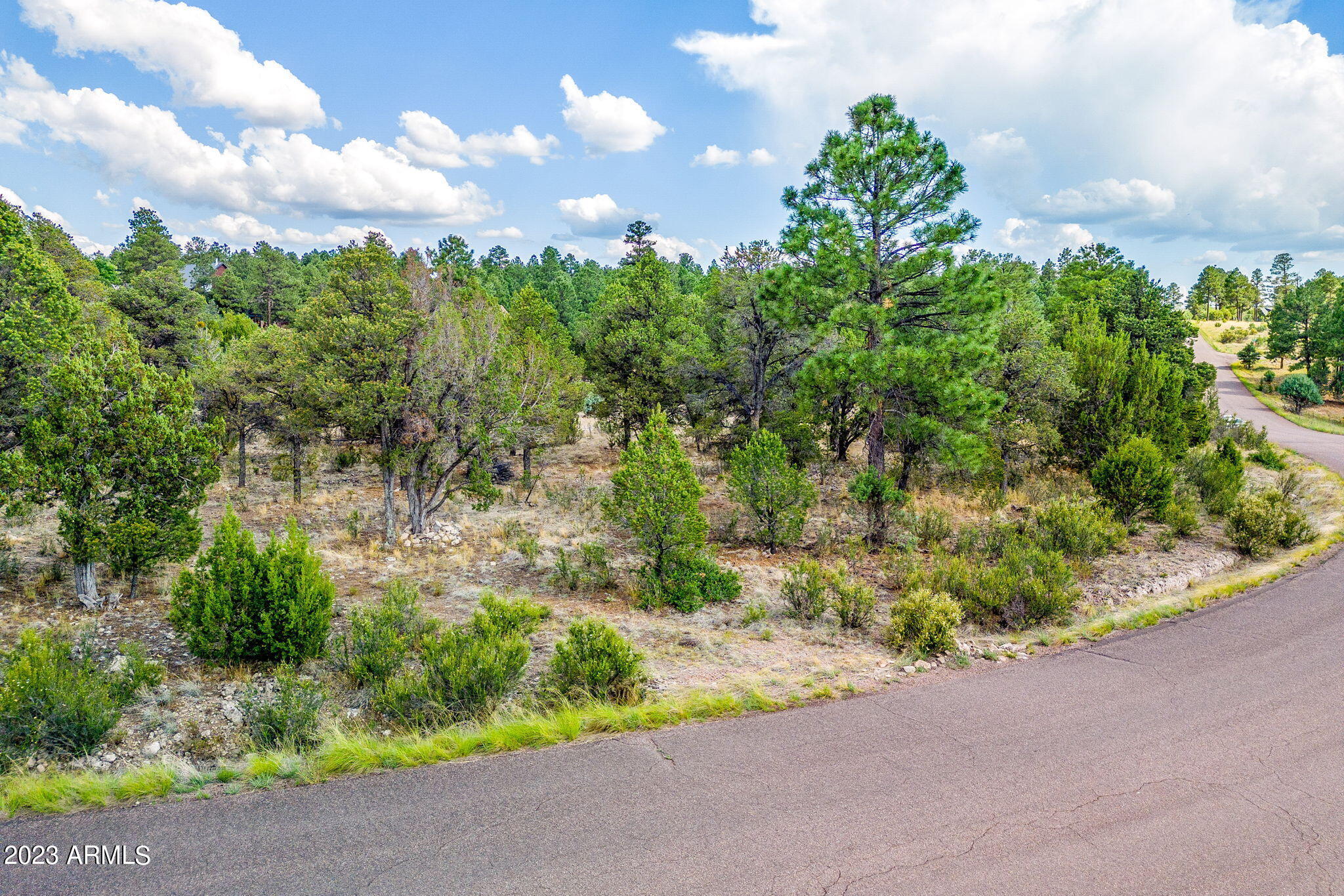 2793 Sky Hawk Drive, Unit 84PER Overgaard, AZ 85933 - Photo 13 of 22 2793SkyHawkDr-HeberOvergaard-AZ-9
