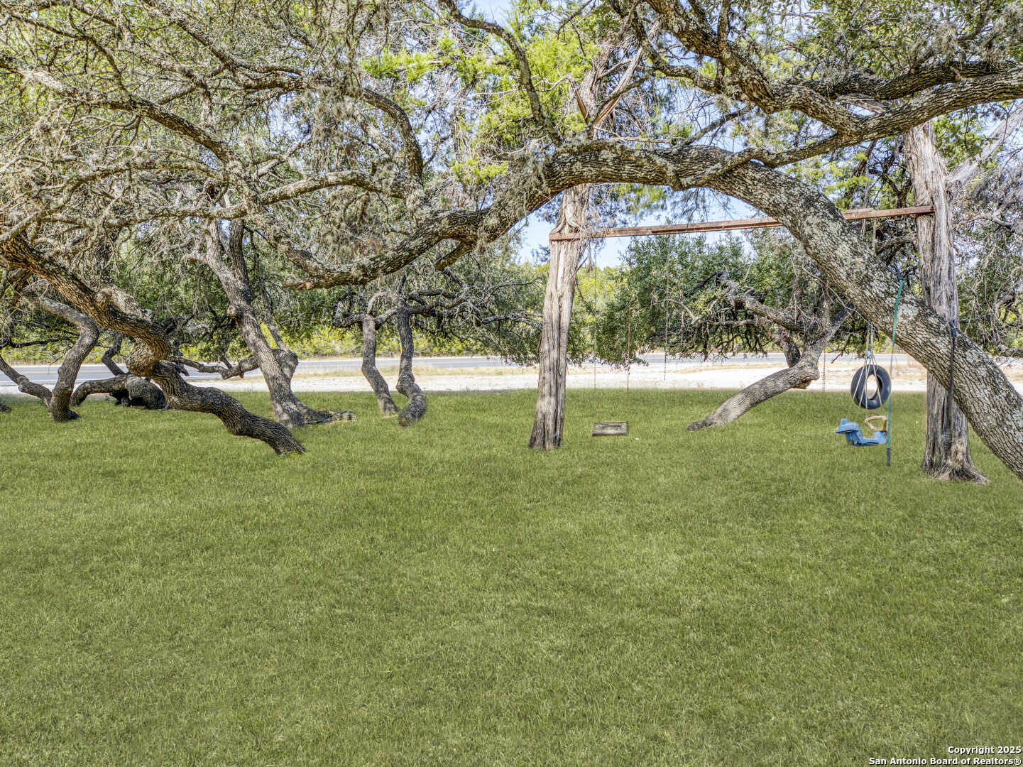 2019 North Park Road Canyon Lake, TX 78133 - Photo 21 of 22 a view of yard with tree and trees