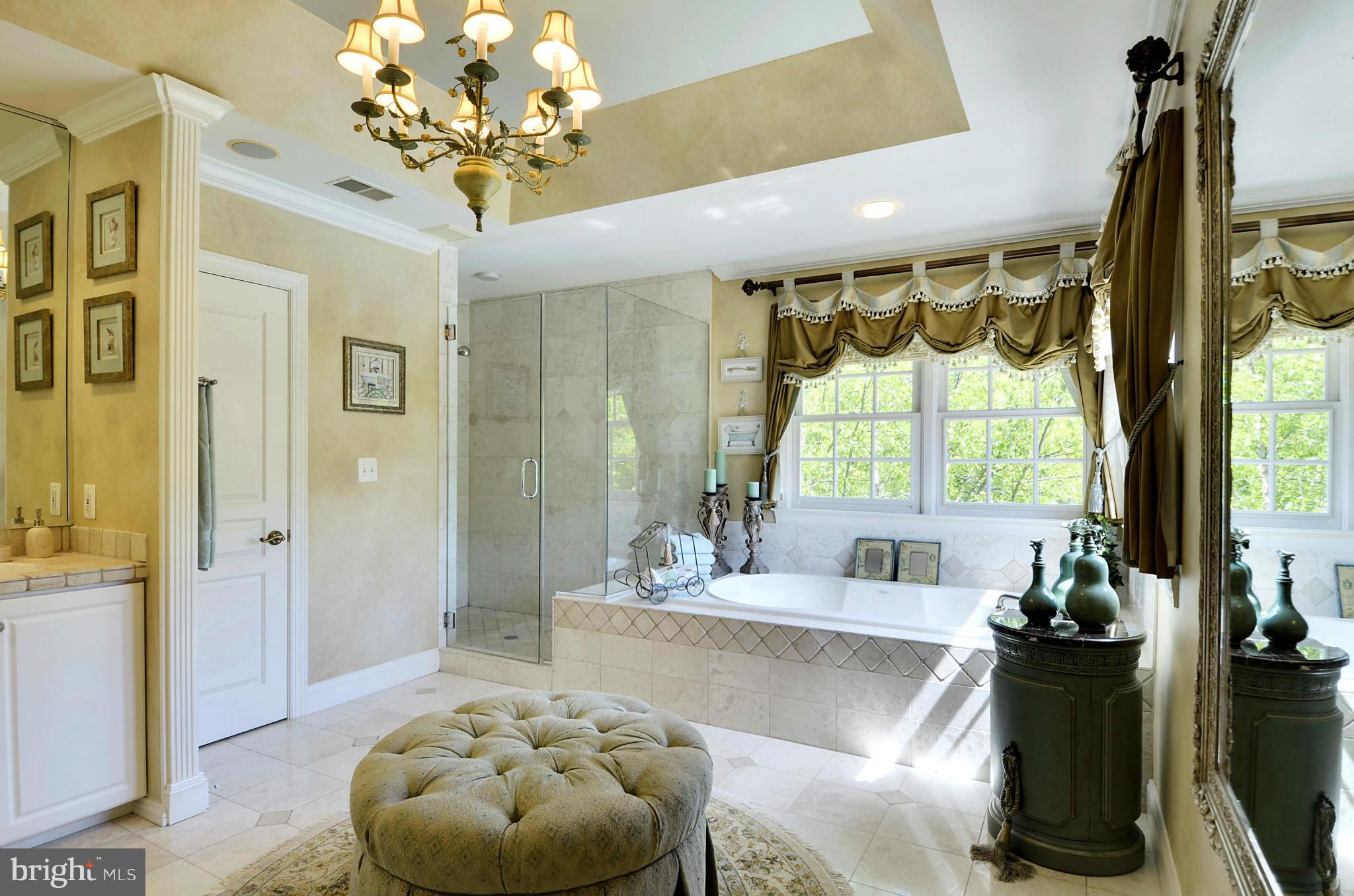 11520 Front Field Lane Potomac, MD 20854 - Photo 18 of 30 Bath (Master)