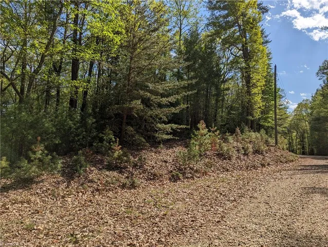 $9,500 | Tbd Sutter's Ridge Road, Unit LOT 94, McGrady, NC 28649