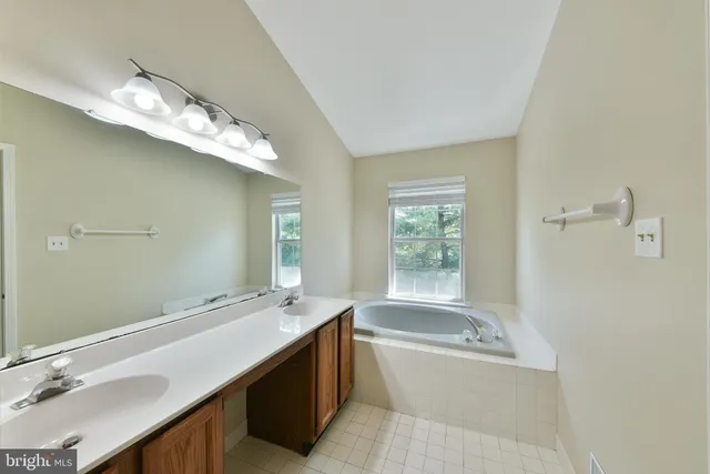 a bathroom with a tub a double vanity sink and mirror
