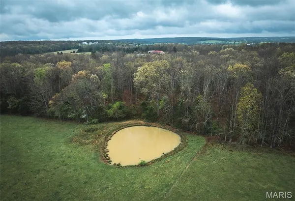 $785,000 | 19176 Hwy CC, Licking, MO 65542