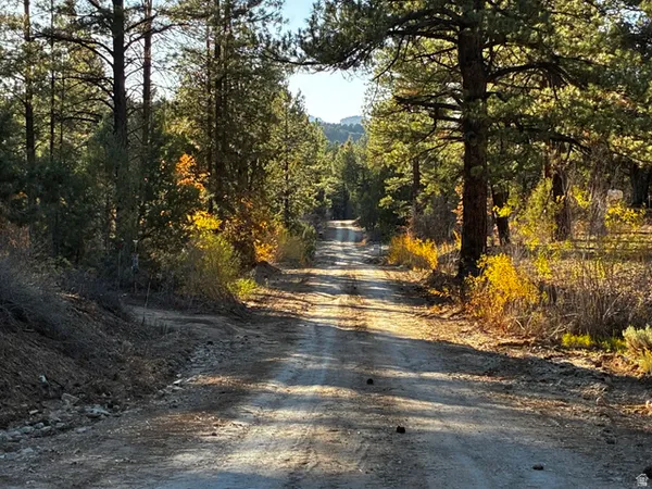 $150,000 | 9 Lot 9 Block D Street, Orderville, UT 84758