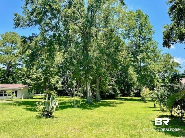 0 West Carolyn Avenue Foley, AL 36535 - Photo 9 of 18