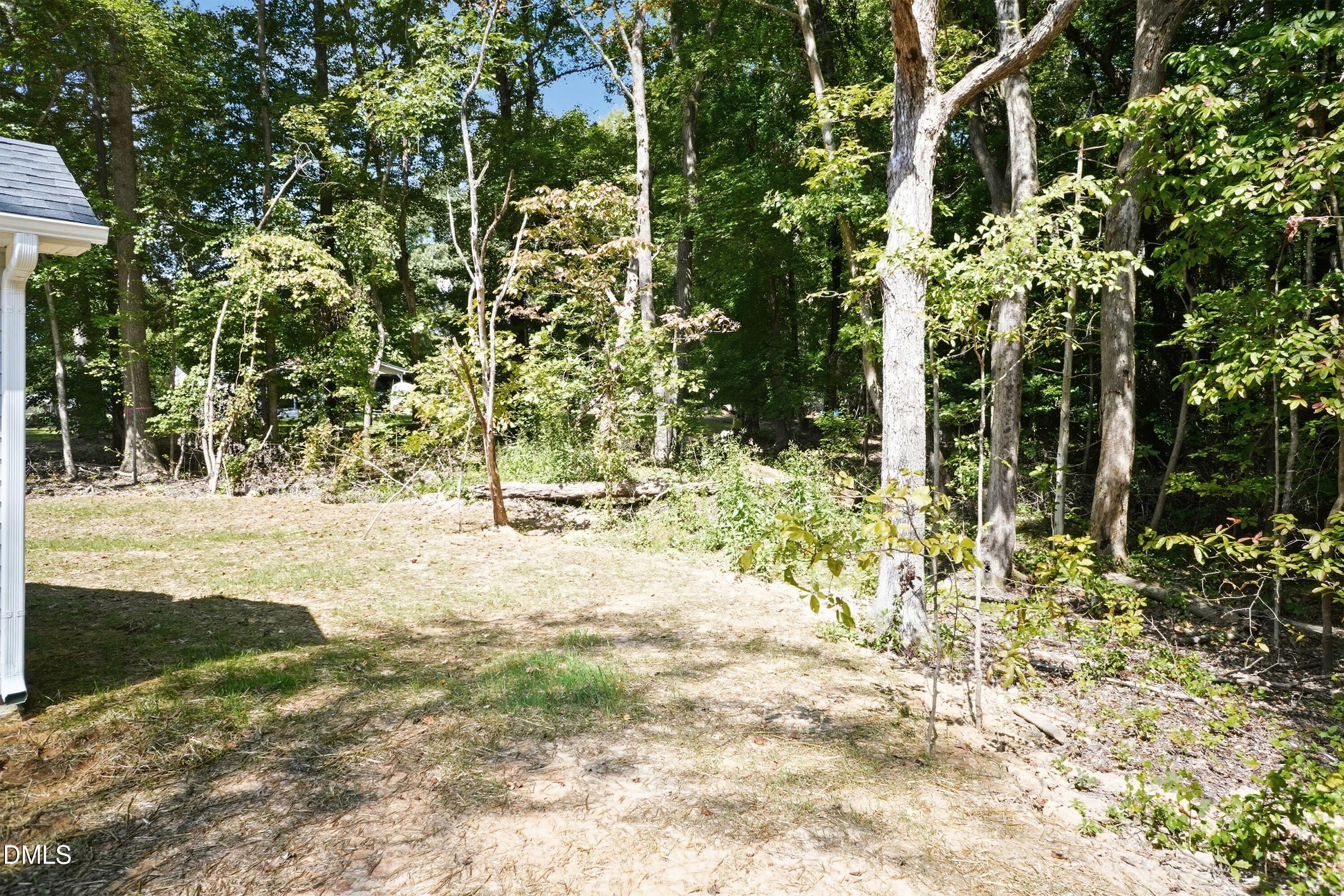 97 Gates Street Roxboro, NC 27573 - Photo 29 of 34 a view of yard