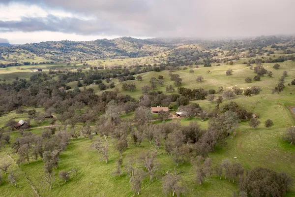 a view of livingroom with window and couch