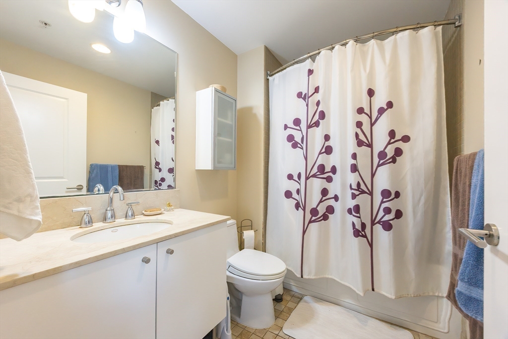 16 Miner Street, Unit 501 Boston, MA 02215 - Photo 16 of 40 a bathroom with a sink and a mirror