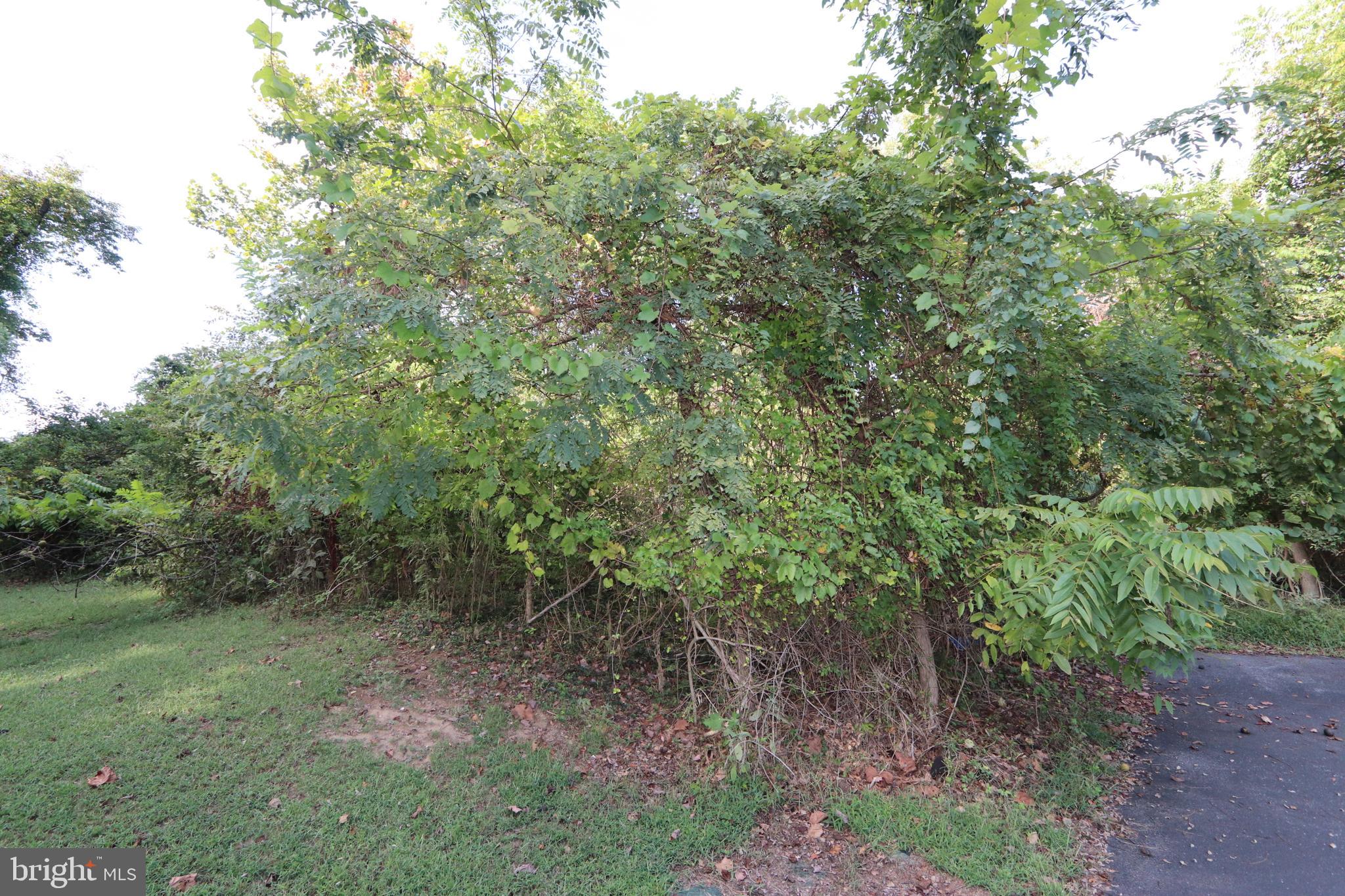1-3 Riverside Drive Bryans Road, MD 20616 - Photo 11 of 31