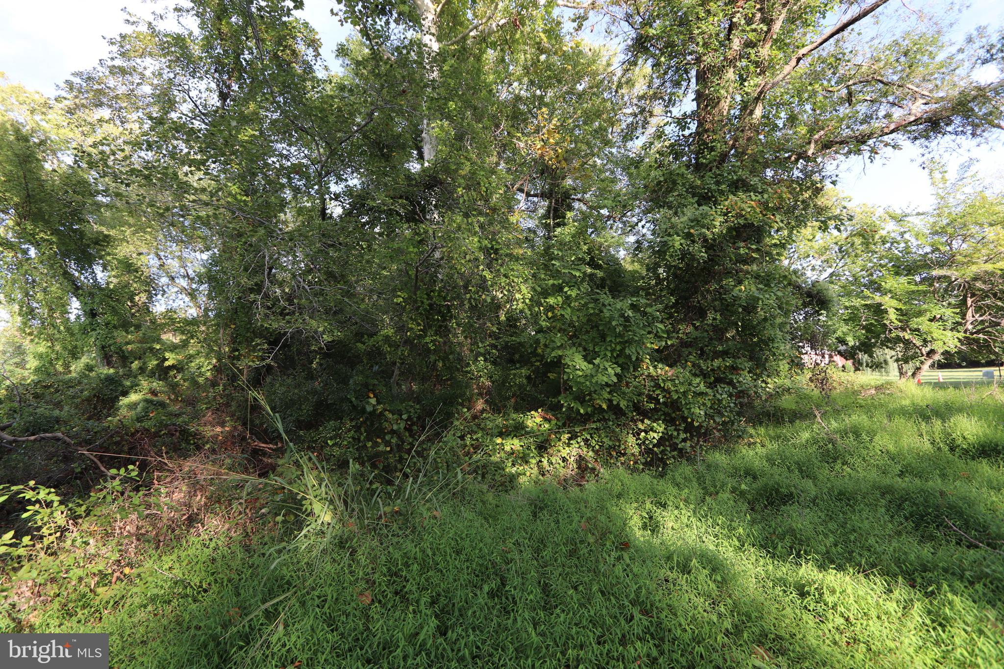 1-3 Riverside Drive Bryans Road, MD 20616 - Photo 13 of 17 a view of a lush green forest