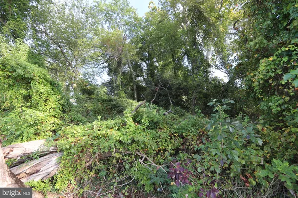 $47,900 | 1-3 Riverside Drive, Bryans Road, MD 20616