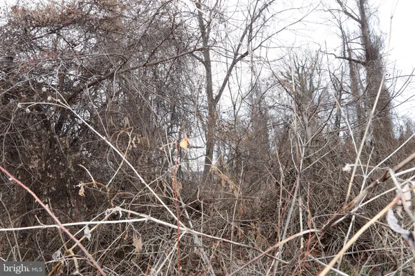 $47,900 | 1-3 Riverside Drive, Bryans Road, MD 20616