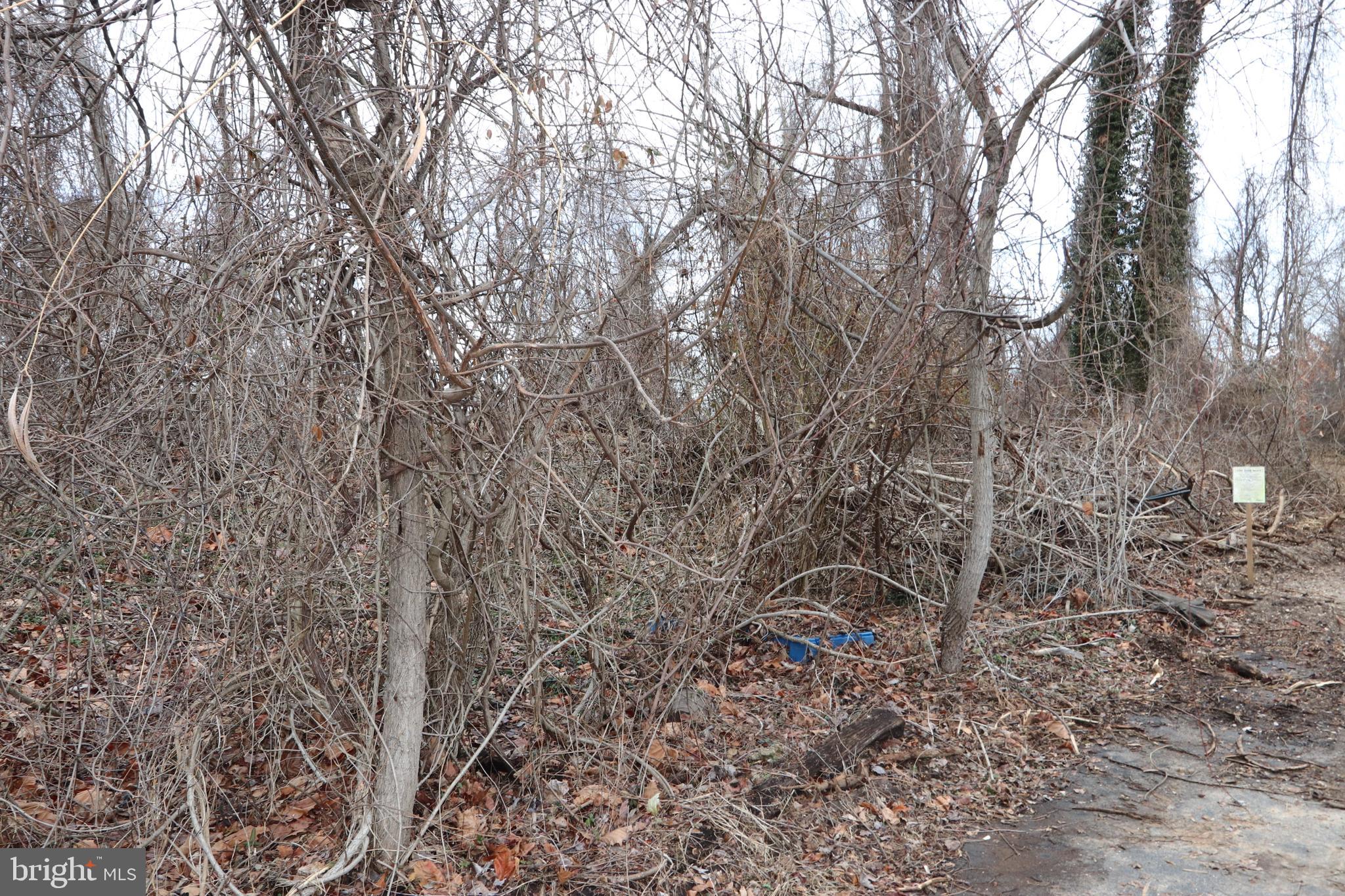 1-3 Riverside Drive Bryans Road, MD 20616 - Photo 22 of 31