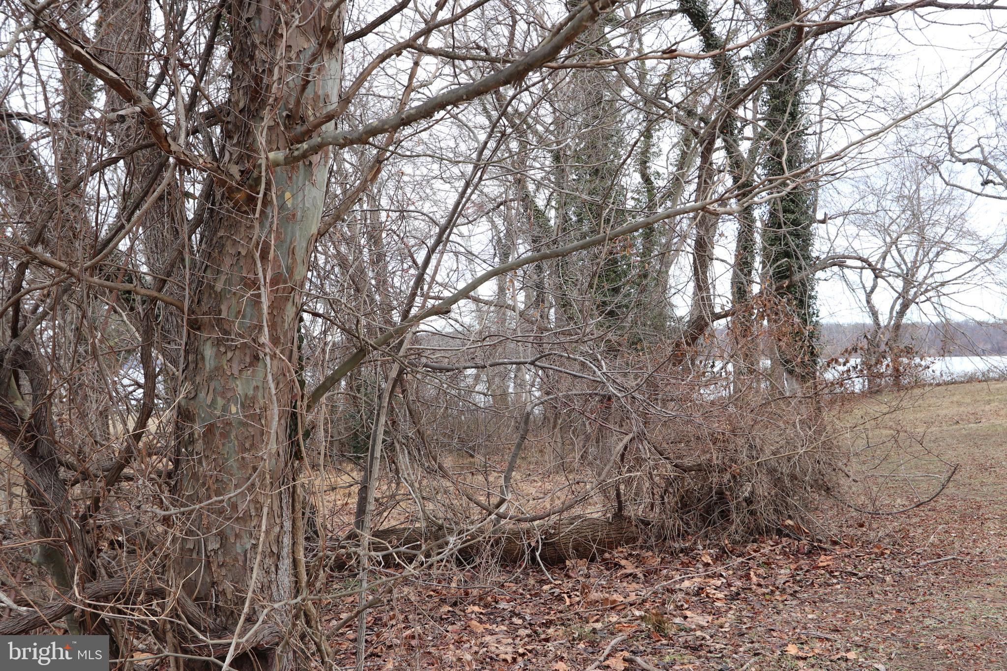 1-3 Riverside Drive Bryans Road, MD 20616 - Photo 24 of 31