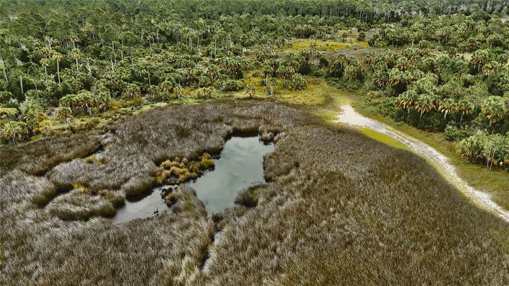 0 Lots 18 19 Adams Beach Road Perry, FL 32348 - Photo 4 of 25