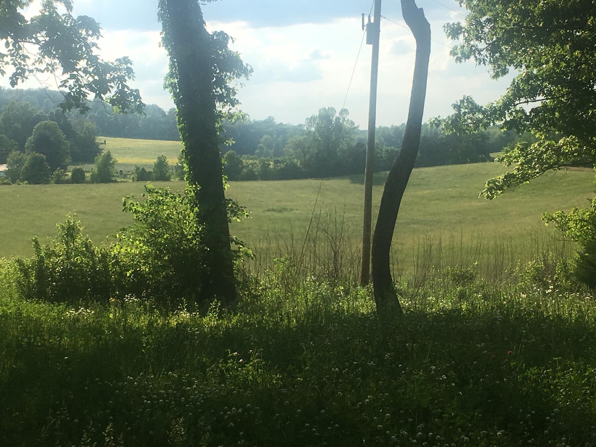 There is one small area of wooded property on this farm 