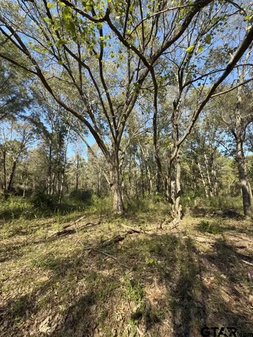 a view of a yard with plants and trees