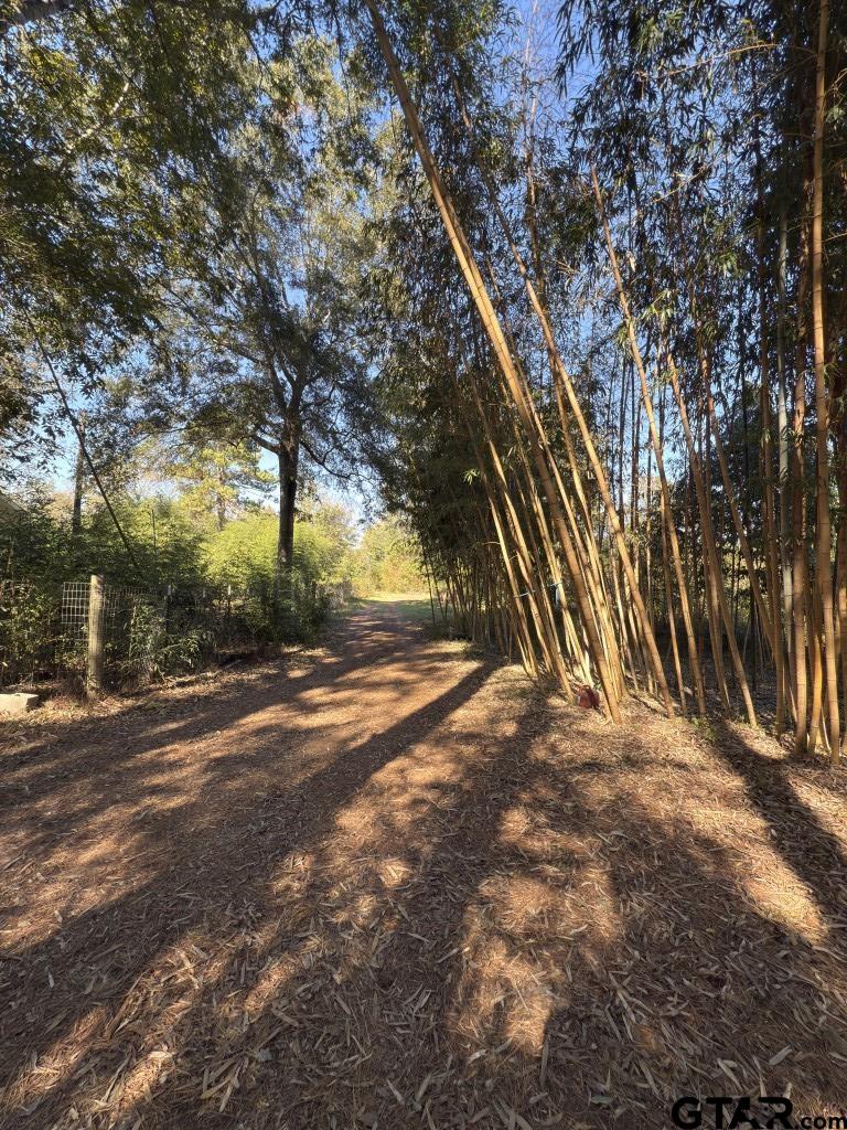 456 Marshall Ivy Road Huntington, TX 75949 - Photo 21 of 32 a view of road and trees