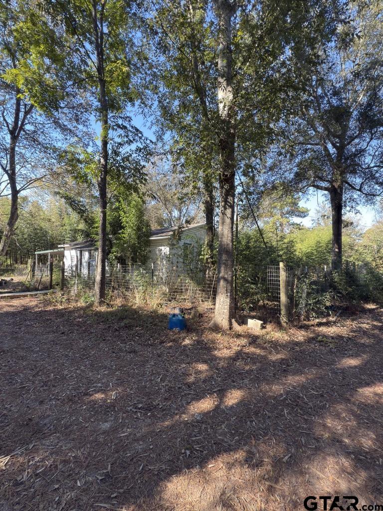 456 Marshall Ivy Road Huntington, TX 75949 - Photo 22 of 32 a view of a yard with a tree