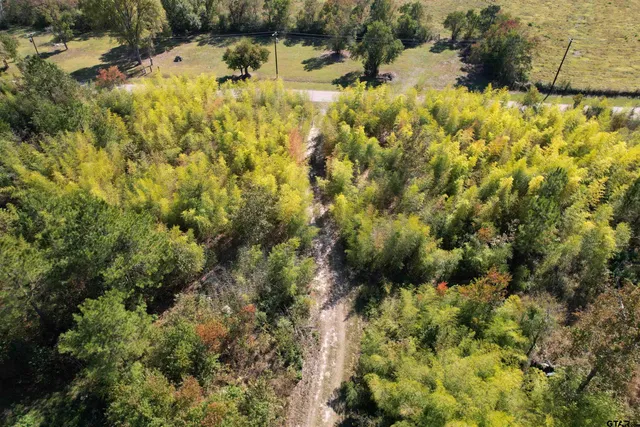 a view of a yard with plants