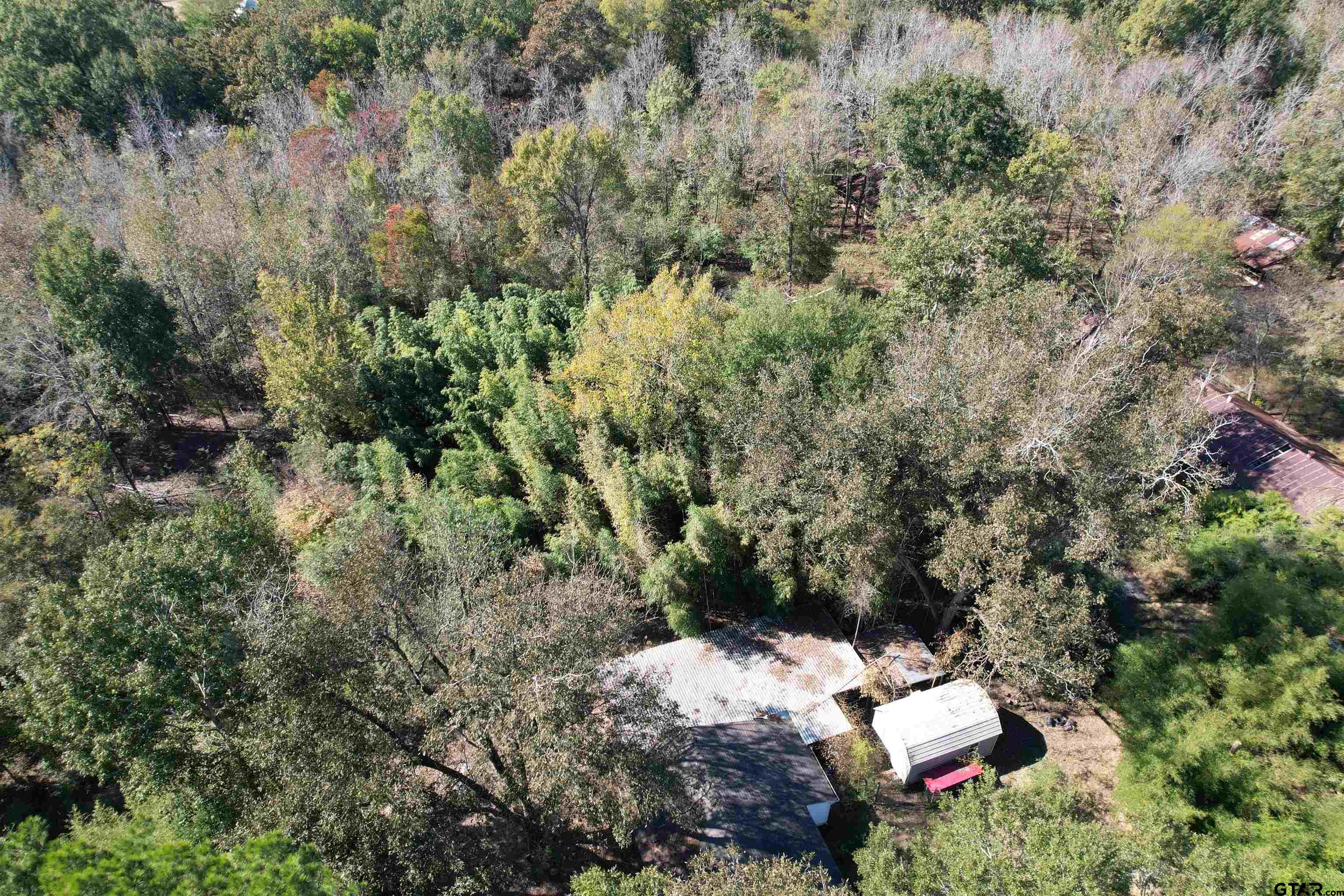 456 Marshall Ivy Road Huntington, TX 75949 - Photo 8 of 32 an aerial view of a house with a yard