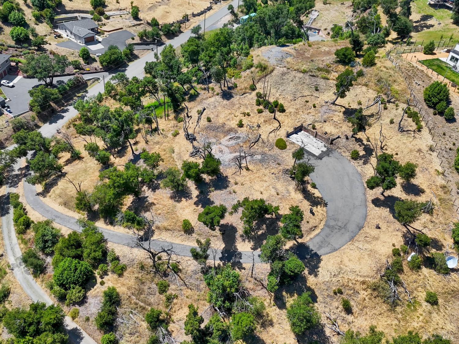 1400 Michele Way Santa Rosa, CA 95404 - Photo 28 of 35 a view of a plant with lots of trees