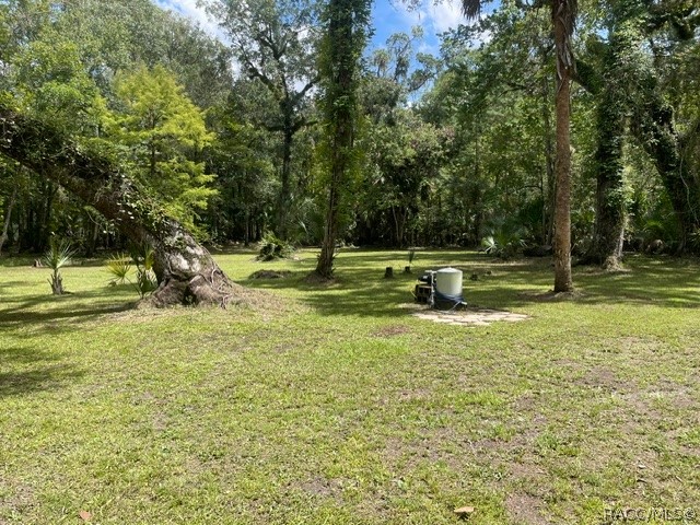 6409 East River Road Hernando, FL 34442 - Photo 8 of 50 Gallery Image 8