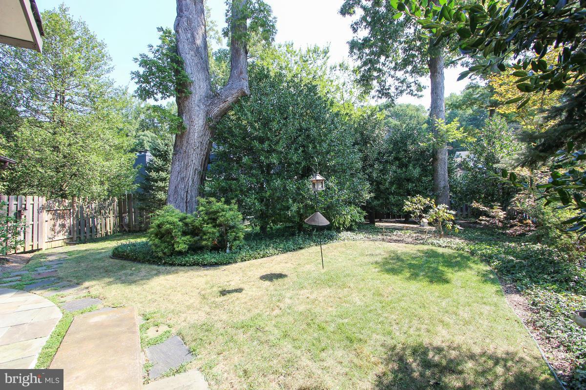 6515 East Halbert Road Bethesda, MD 20817 - Photo 19 of 21 Exterior (Rear)