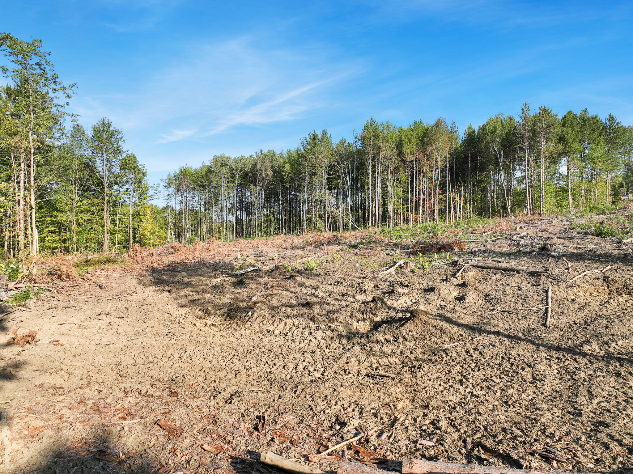 Lot # Eaton Hill Road Rumford, ME 04276 - Photo 9 of 17 3