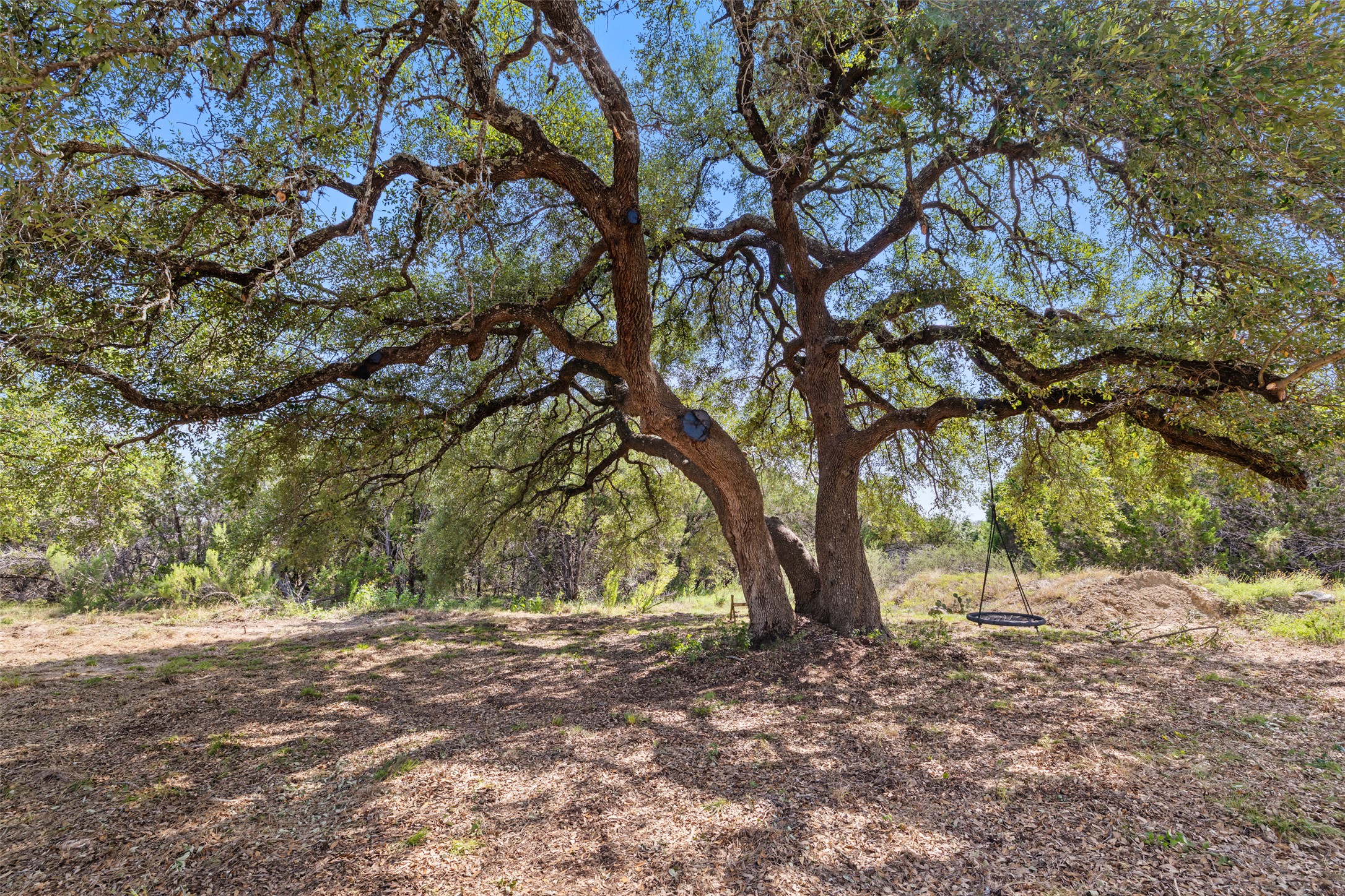 764 Stubbs Road Johnson City, TX 78636 - Photo 12 of 29 Mature oak trees shade this tranquil lot, providing a perfect setting for outdoor enjoyment.