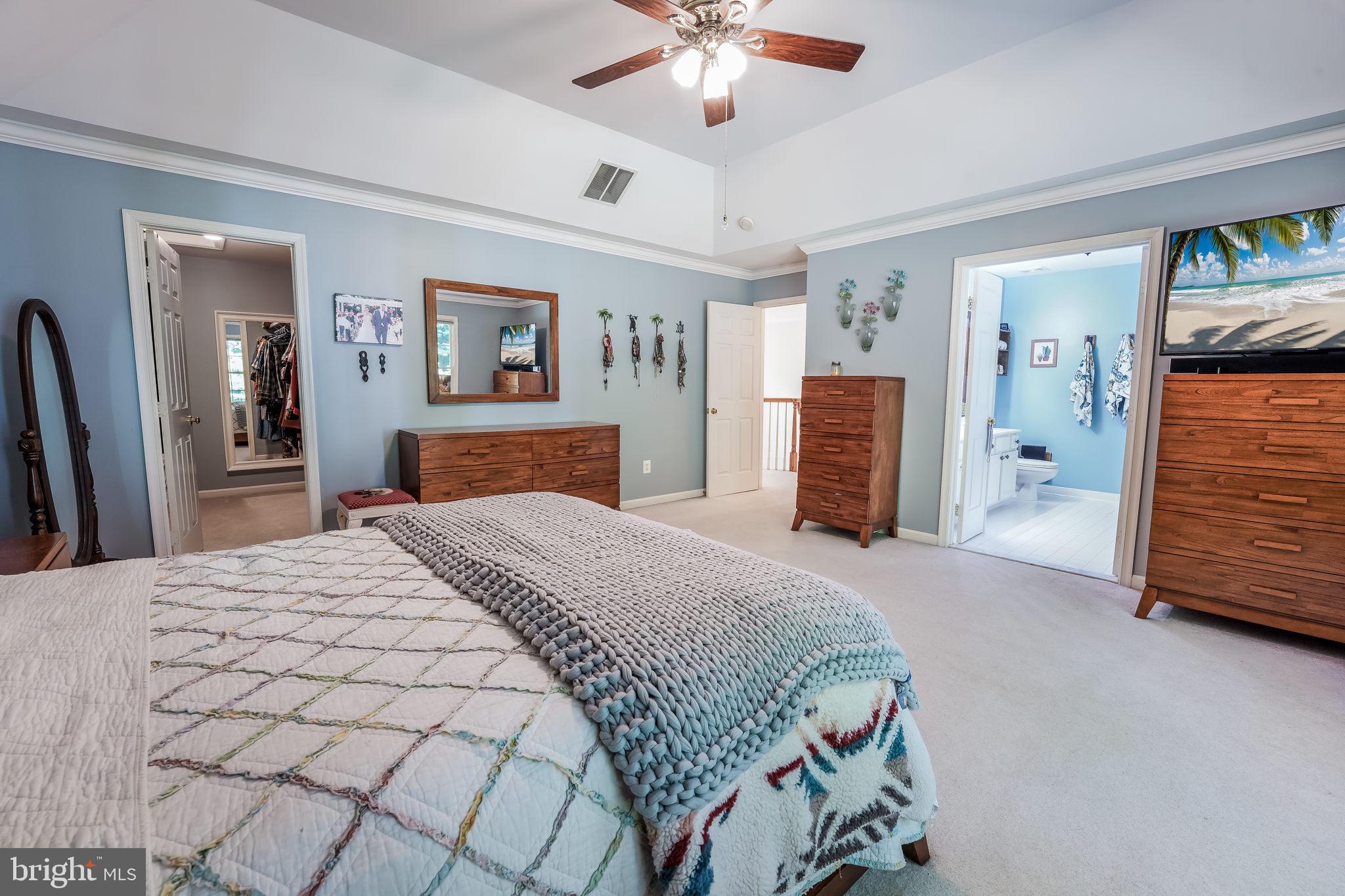 12080 Coloriver Road Manassas, VA 20112 - Photo 36 of 58 Primary w/ Bath and walk in