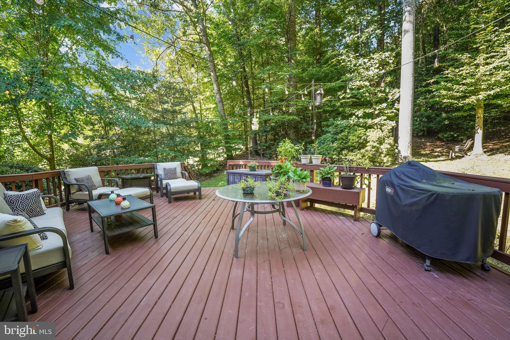 12080 Coloriver Road Manassas, VA 20112 - Photo 55 of 58 Large deck lighting will convey