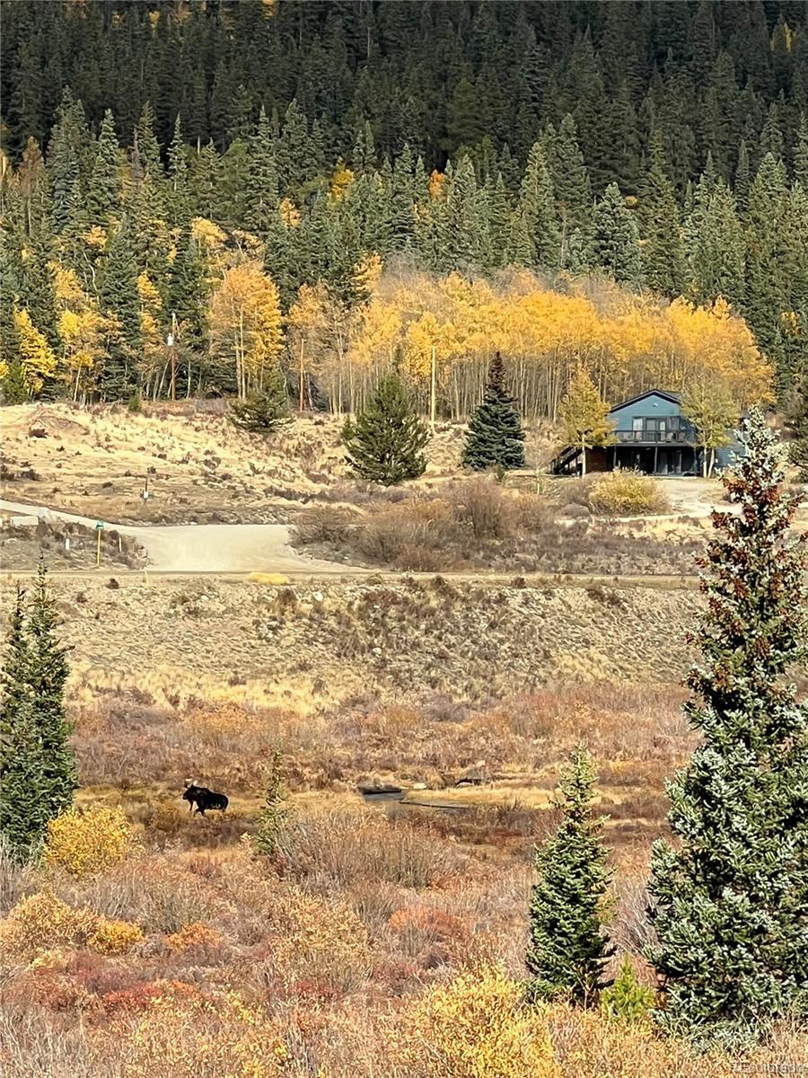 141 Quartzville Road Alma, CO 80420 - Photo 5 of 24