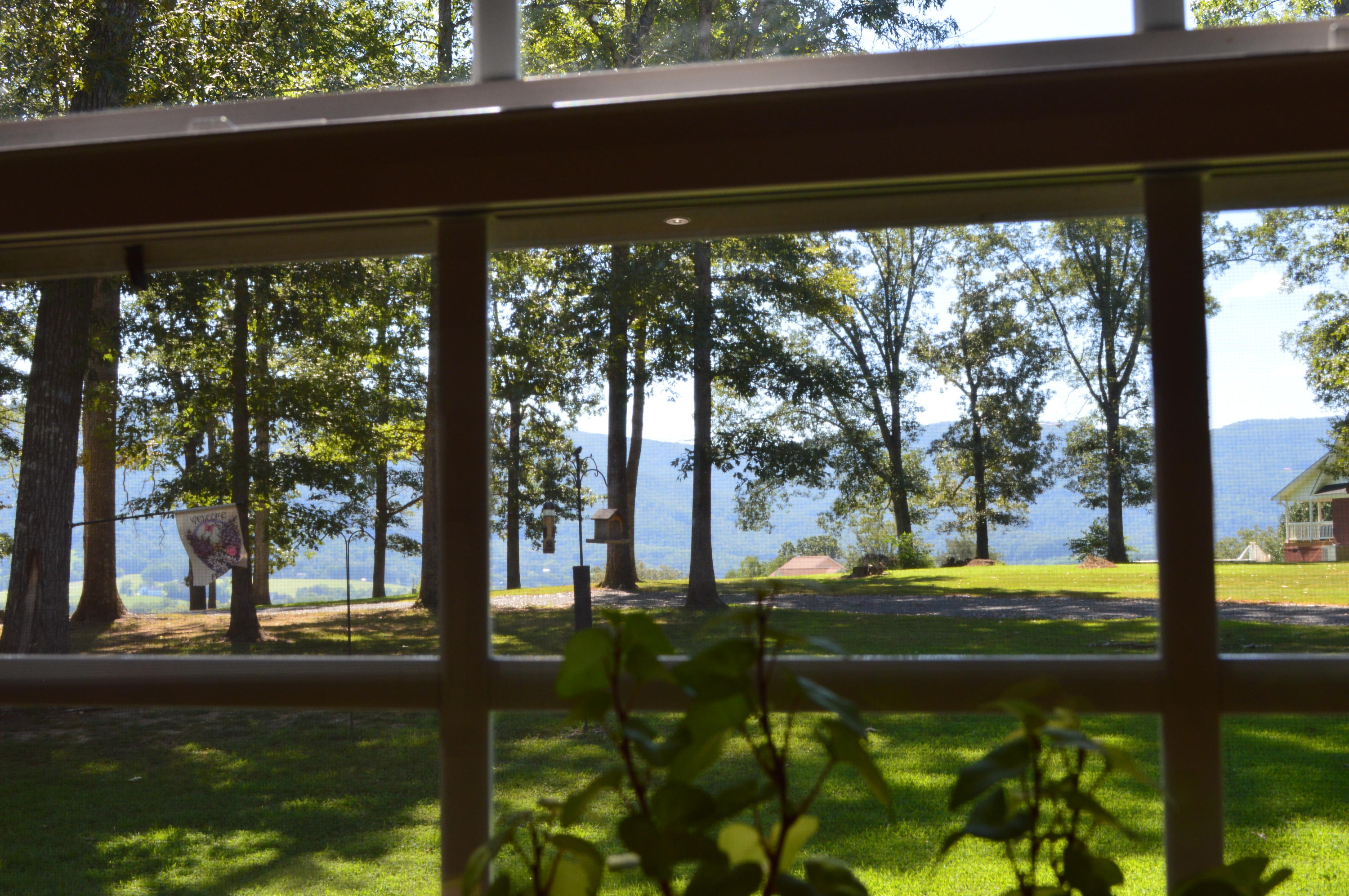 371 Wheeler Ridge Road Dunlap, TN 37327 - Photo 14 of 65 View from kitchen sink